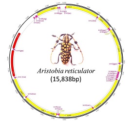 aristobia-01-23042019