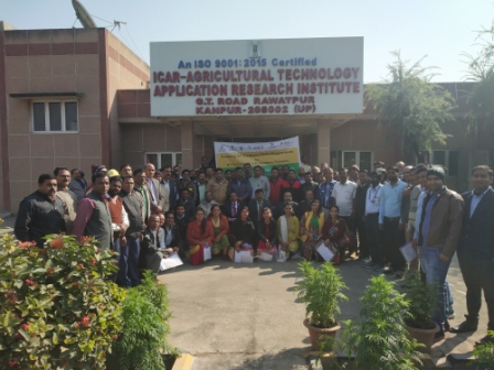 asci4.jpg