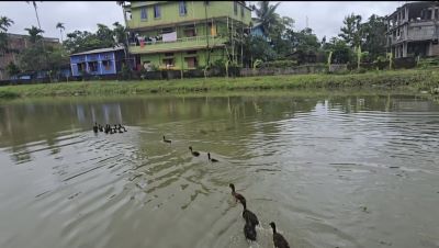 MP Inaugurates Five-Day Training Programme on Integrated Farming System and Fishery-Based IFS Model at Hailakandi