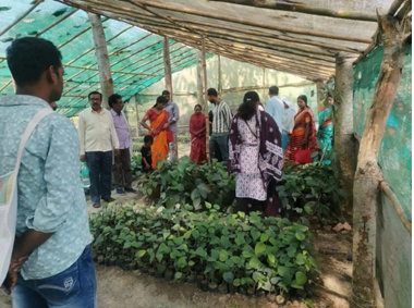 Workshop-cum-Master Trainer Training under Farmer FIRST Organised