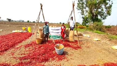 Campaign on Balanced Fertiliser Use Conducted Across Southern States under ICAR–ATARI, Hyderabad