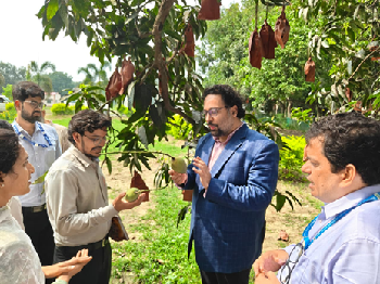 District Administration and ICAR-KVK, Malda (Additional) Drive “AMAR Malda” Initiative to Strengthen Mango Value Chain and Global Branding