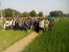 bikaner-0124012017.jpg
