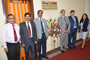 brics-04-12042017.jpg