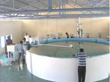 cabanews-01-04-10-2013