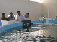 cabanews-02-04-10-2013