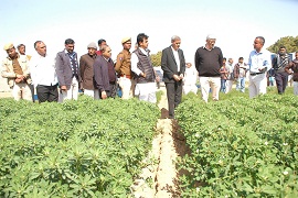 cazri-02-01022019.jpg