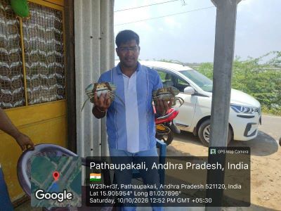 ICAR–CCARI, Goa Team Studies Andhra Pradesh Crab Culture Model to promote Mud Crab Farming in Goa