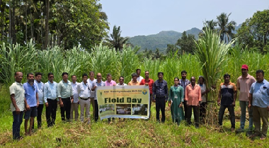 ICAR-CCARI, Goa Organises Field Day on Year-Round Green Fodder Production Using Super Napier Grass