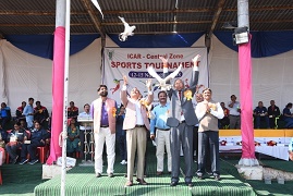 ciaebhaopal-01-20112018