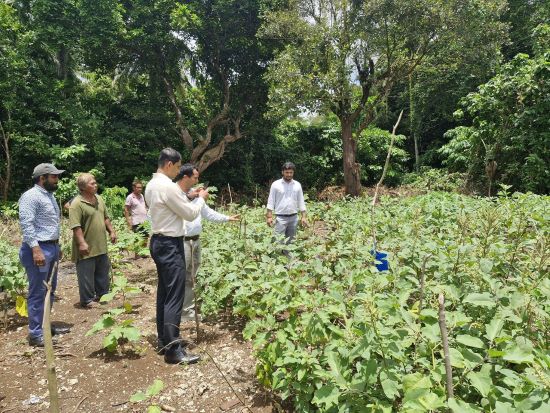 Transforming Nicobari Tribal Livelihoods through Integrated Farming and Scientific Interventions