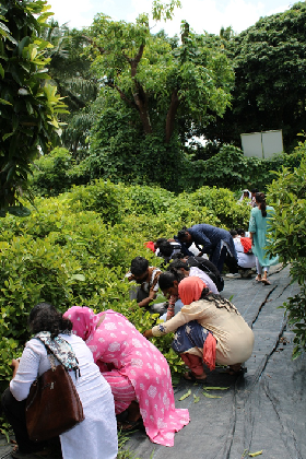 Island Stakeholders trained on Cultivation and Postharvest Management of Spices at ICAR-CIARI, Sri Vijaya Puram