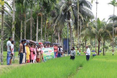 Field Day on High-Yielding Rice Varieties Organized at Bloomsdale Research Farm