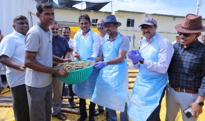 ICAR-CIBA’s SIPNSF Technology Recognised as a Pathway to Viksit Bharat’s Shrimp Production Goal