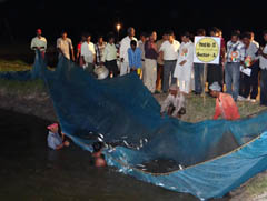 ciba-kakdwip-14-11-2012-2