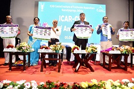 cifa-01-02042019