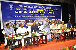 cifa-01-03042018
