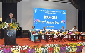 cifa-02-02042019
