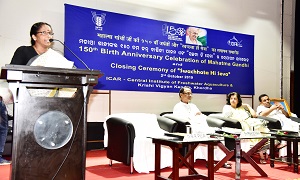 cifa-02-04102019