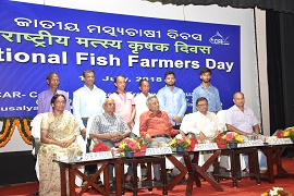 cifa-02-11072018