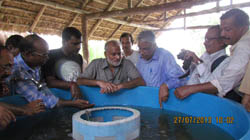 cifa-sundarbans-05-08-2013-1