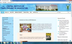 cifaweb-02-20-02-2013