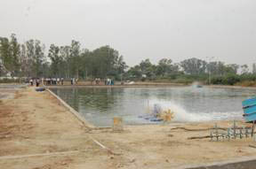 cife-rohtak2
