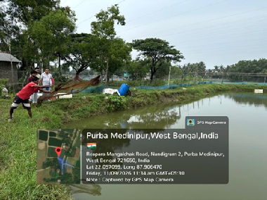 ICAR-CIFRI, Barrackpore Organises Disease Surveillance Following Whiteleg Shrimp Mortality in Purba Medinipur