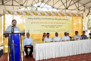 cift-01-05022019