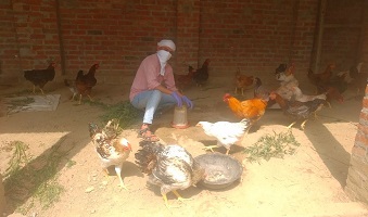 cishkadknath-02.jpg
