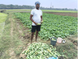 Location-Specific Production Technologies Transform Rice-Based Farming and Water Productivity in a Tribal Cluster of Odisha