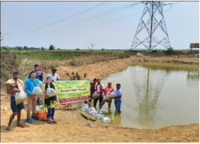 Location-Specific Production Technologies Transform Rice-Based Farming and Water Productivity in a Tribal Cluster of Odisha