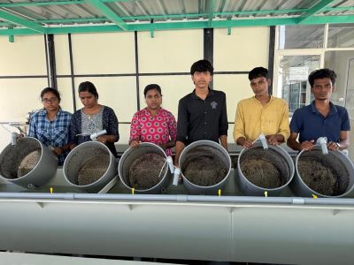 ICAR-CMFRI, Kochi supplies 5 lakh green mussel seeds to coastal fishers in Maharashtra