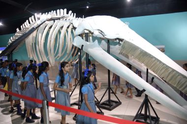 ICAR-CMFRI opens doors to fascinating world of marine life on the occasion of its 79th Foundation Day