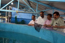 cmfri-01-30012017.jpg