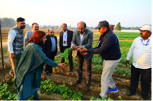 DG ICAR Visits ICAR-CPRI (Regional Station) Jalandhar
