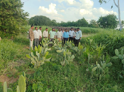 Skill development on Scientific Small Ruminant Production and Good Management under SCSP at ICAR-CRIDA, KVK, Hyderabad