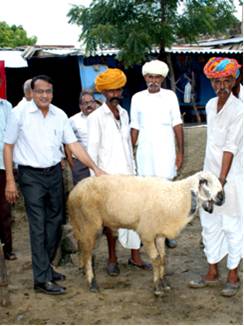 cswri-news-06-08-2012-2