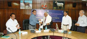 cswriwomen-0128032014