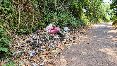 Swachh Bharat Diwas Celebrated at ICAR-CTCRI, Thiruvananthapuram
