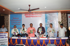 dcfr-0105102016.jpg