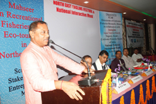 dcfr-0205102016.jpg