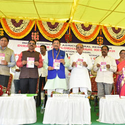 dcfr-RS-22-01-2019-2