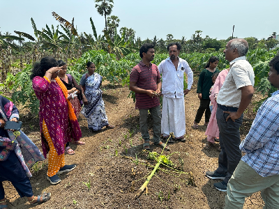 ICAR-DFR, Pune Empowers Farmers through Balanced Fertilizer Use in Dr. B. R. Ambedkar Konaseema District, Andhra Pradesh