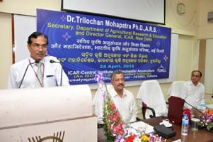 dgicarkvkcifa-0126042016.jpg