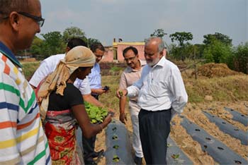 dgicarpatana-01060502014