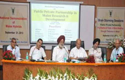 dmr-01-23-09-2013