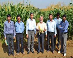 dmr-04-23-09-2013