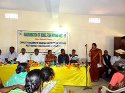 drwa2-14-12-2012