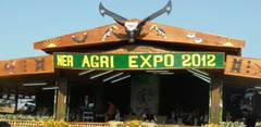 expo-north-east-19-11-2012-1